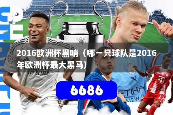 2016欧洲杯黑哨（哪一只球队是2016年欧洲杯最大黑马）