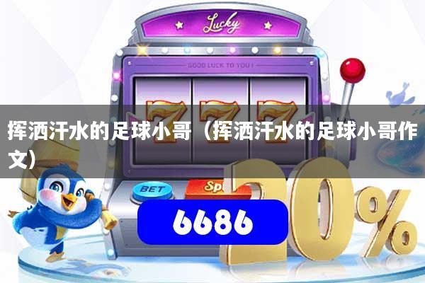 挥洒汗水的足球小哥（挥洒汗水的足球小哥作文）