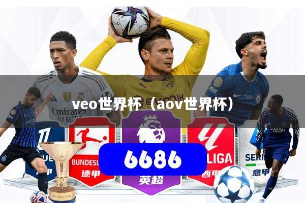 veo世界杯(aov世界杯)