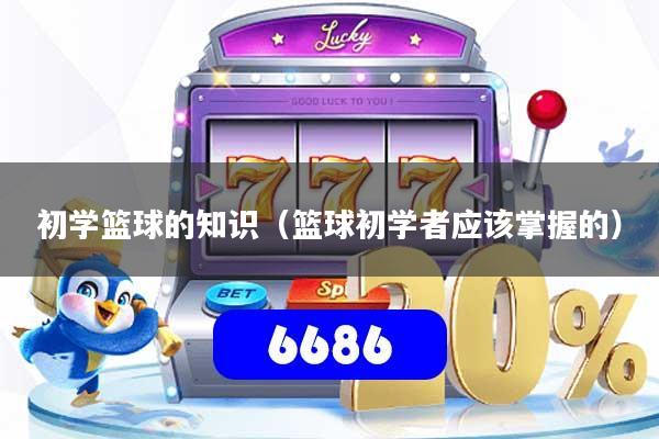初学篮球的知识(篮球初学者应该掌握的)
