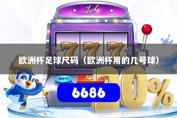 欧洲杯足球尺码(欧洲杯用的几号球)