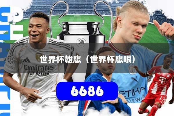 世界杯雄鹰(世界杯鹰眼)
